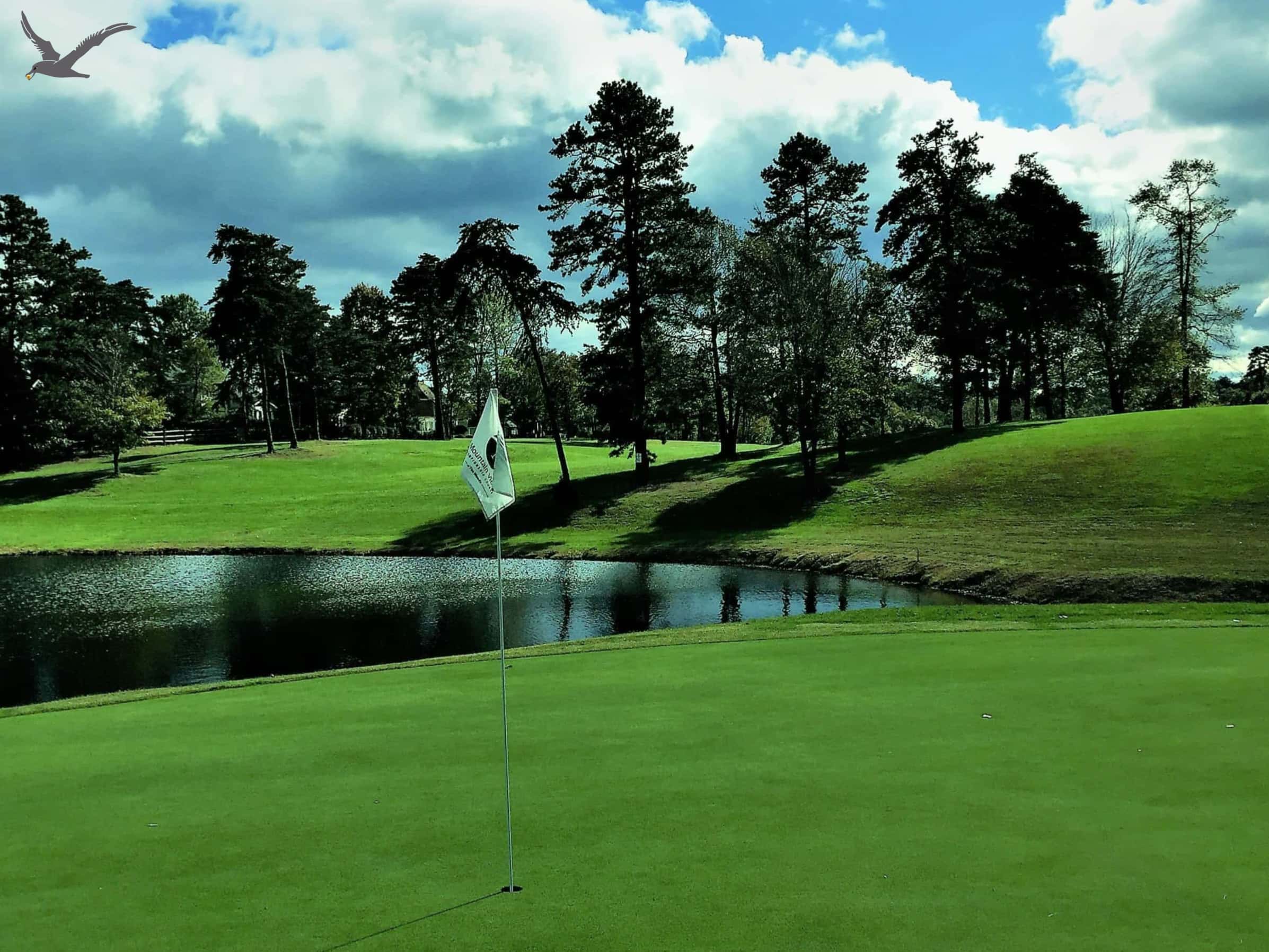 अल्बाट्रोस खेलकुद: 10 फास्ट फ्याक्ट टू काउन गल्फ (भाग 1)